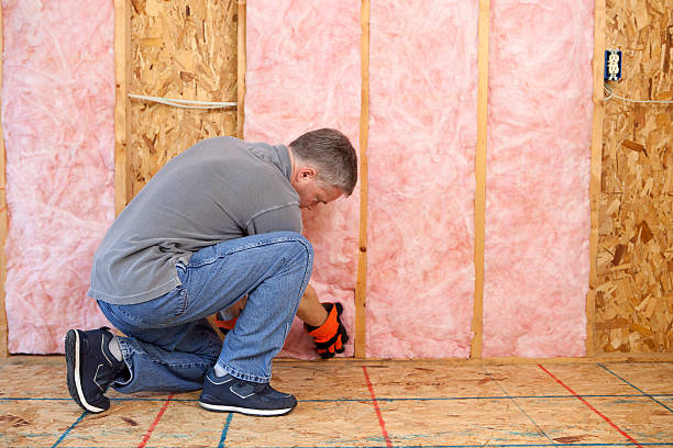 Best Cellulose Insulation in Fox Island, WA