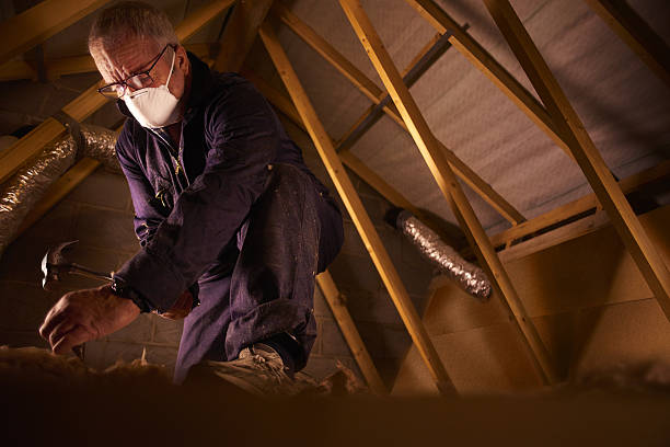 Types of Insulation We Offer in Fox Island, WA